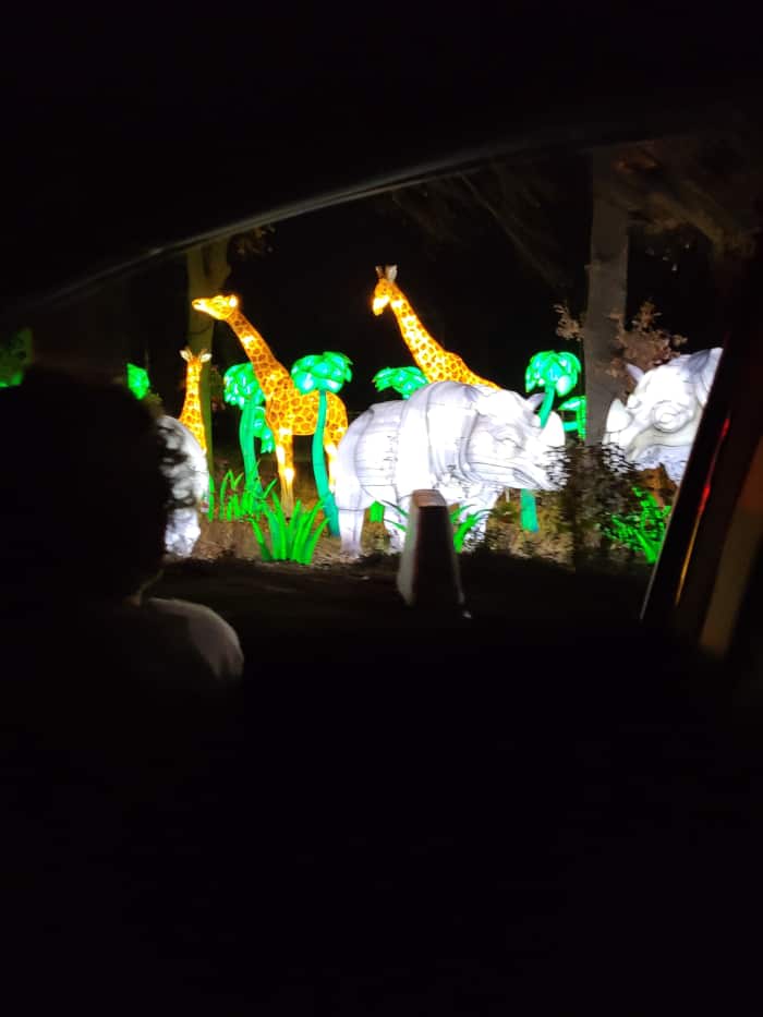 Oklahoma Zoo Safari Lights HubPages