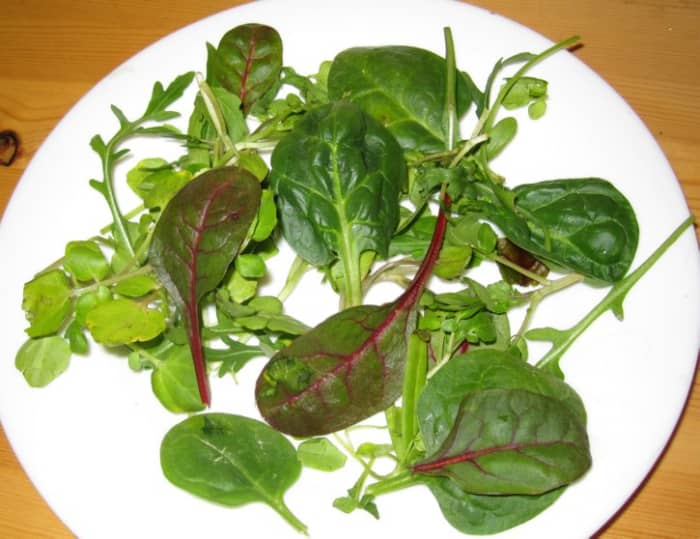 Adding watercress to other mixed salad leaves and serving as a side dish is an easy way to increase consumption.