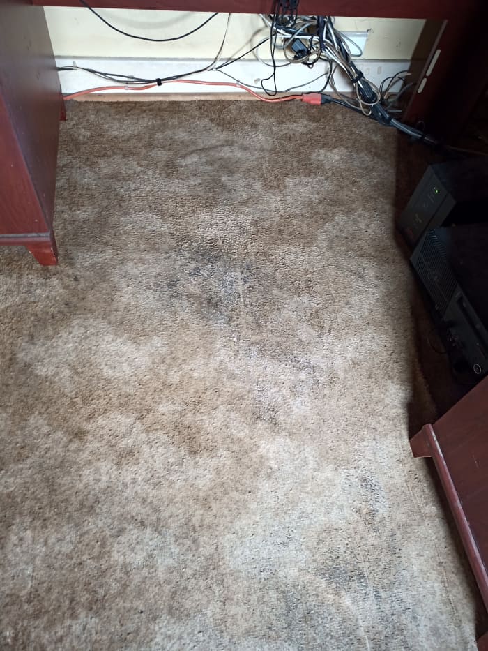 After mopping. Although the photograph shows little difference, the carpet is solfter and smells fresh