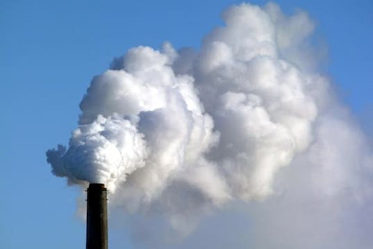 Global warming isn't just killing off polar bears, it is effecting thousands of species to prove devastating.