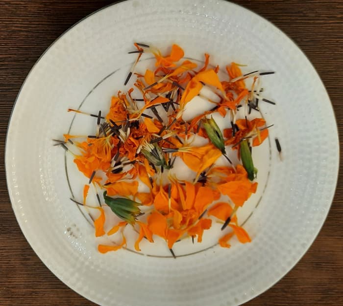 Step 1– Gently separate the marigolds petals and let them dry for a day or two