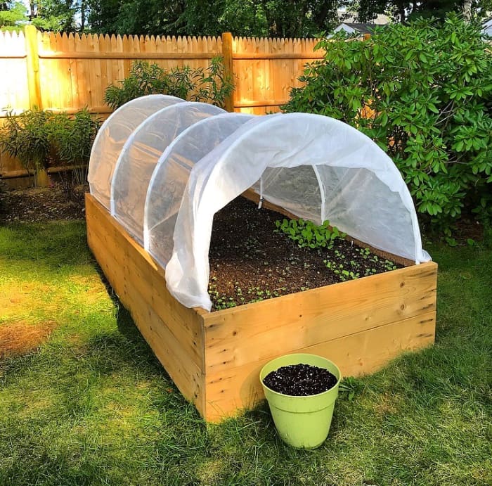 Radishes, carrots, and kale direct sowed in our raised bed on August 19th and topped with our Agfabric row cover. White PEX piping and clamps were used to hold this cover in place.