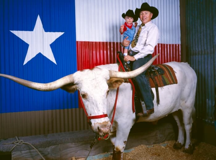 A father and son get a saddletop view of a Texas longhorn steer at the Houston Livestock Show and Rodeo