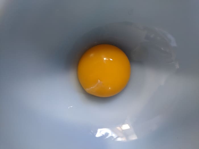 Eggnog for One HubPages