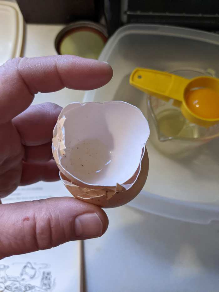 Eggnog for One HubPages