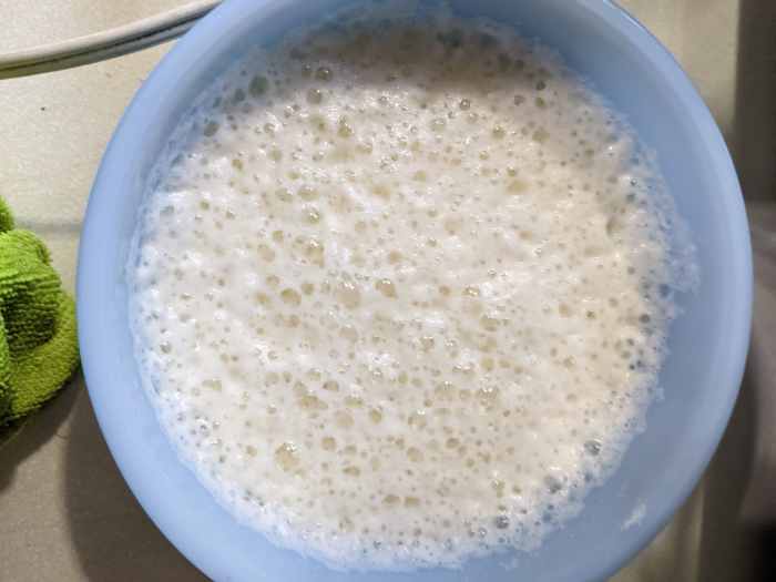 Eggnog for One HubPages