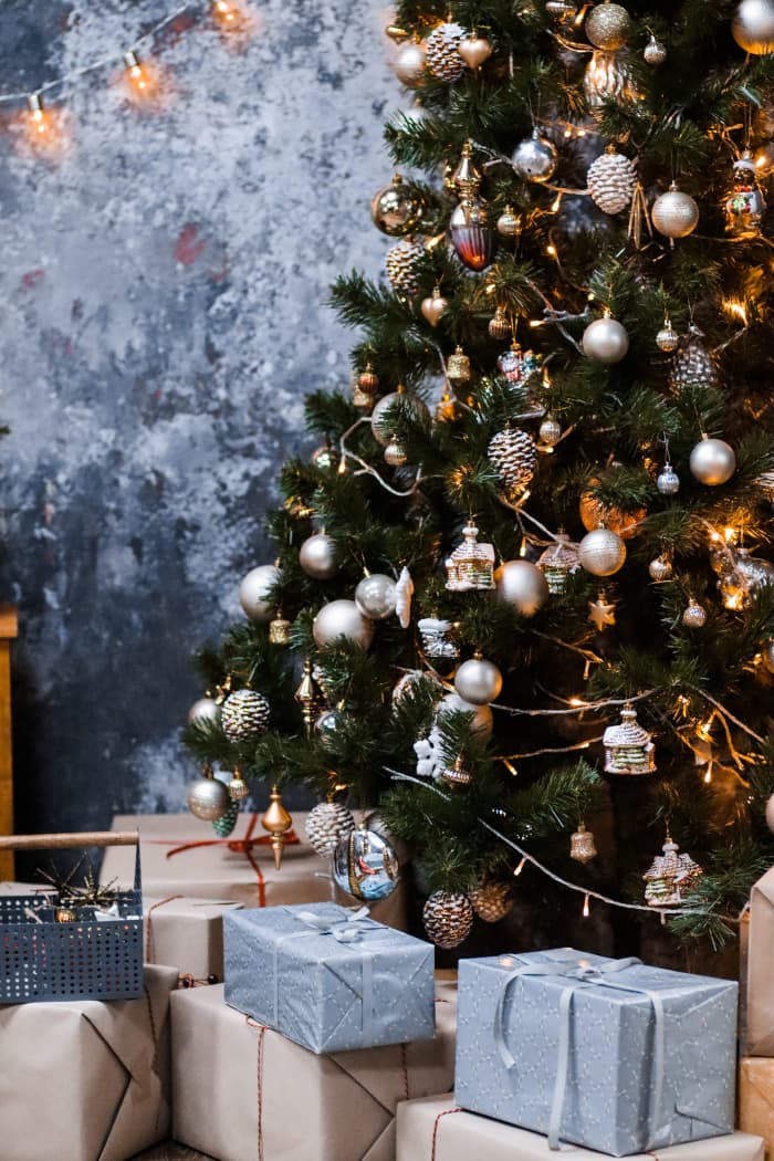 Gift boxes under Christmas tree: Many Christmas traditions mirror those of the Roman feast of Saturnalia.