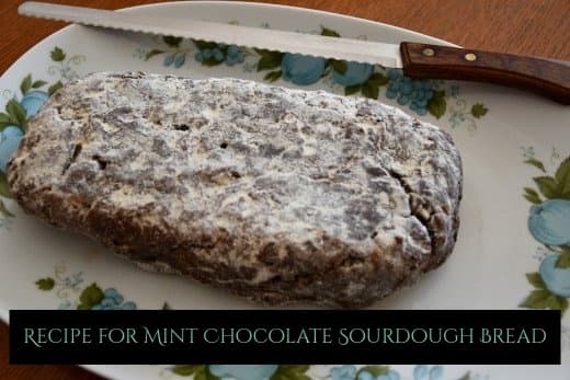 A bread that's tangy, chocolatey, and perfect with a hot beverage. A great bake for when you're feeling the winter blues.