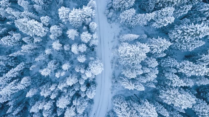In prompt eight, you can explore the relationship between man and nature, or the tensions that exist between human beings placed in desperate circumstances.