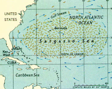 Note also how the map implies the seaweed is coming out of the Gulf with the Gulf Stream currents, a passé theory: the sargassum is actually now believed to be adapted and native to this strange sea, with very little of its cousins actually coasting