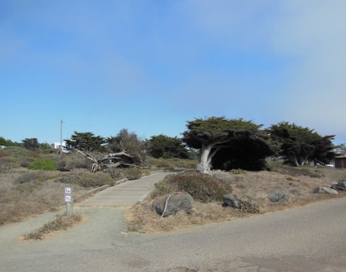 Part of the boardwalk near the south parking lot and restroom building.