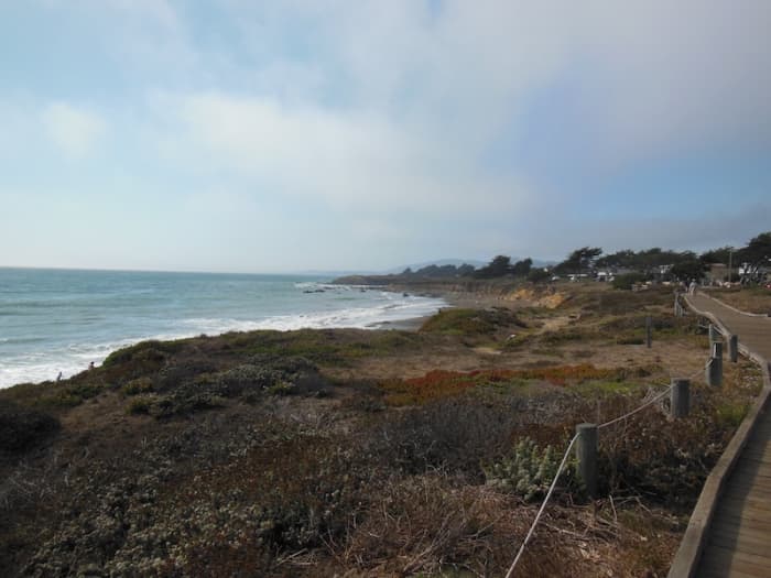 Exploring Moonstone Beach in Cambria, California - HubPages