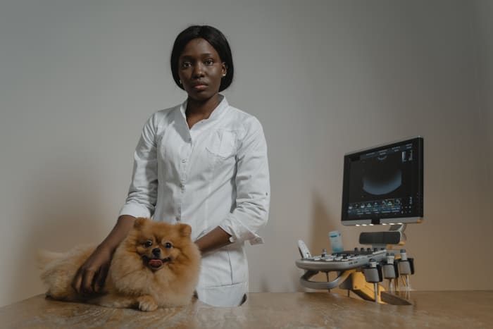 Being fully prepared for your next Vet Appointment can help make the process a smooth one for everyone.