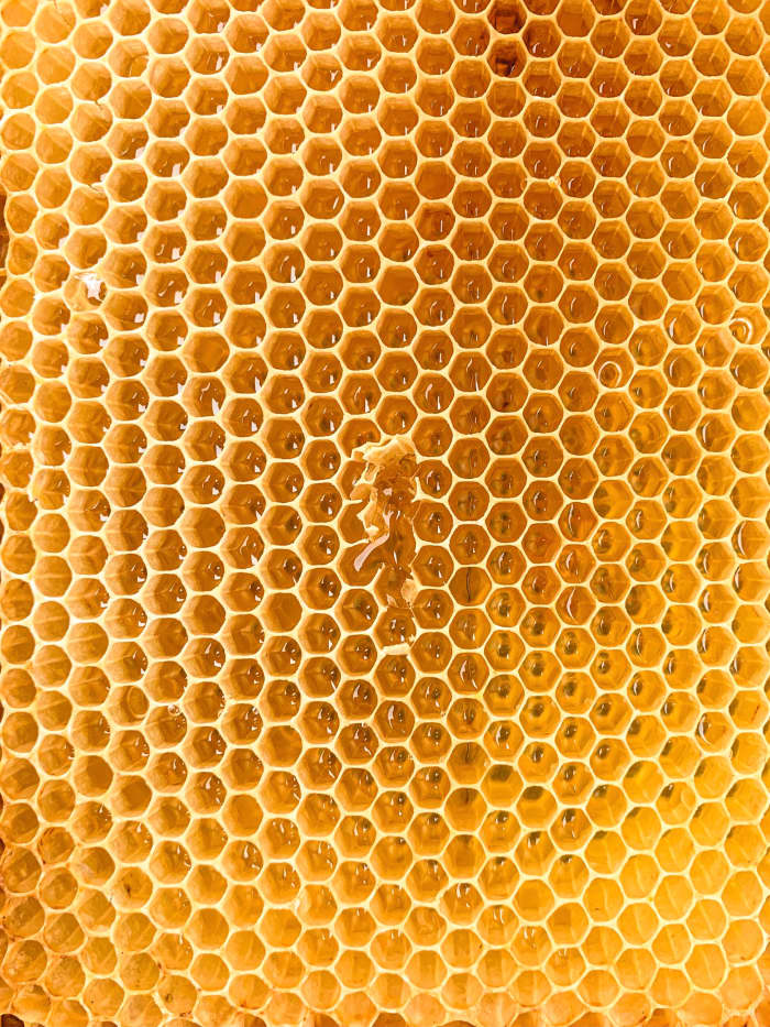 The Benefits of Using Honey for Skincare - Bellatory