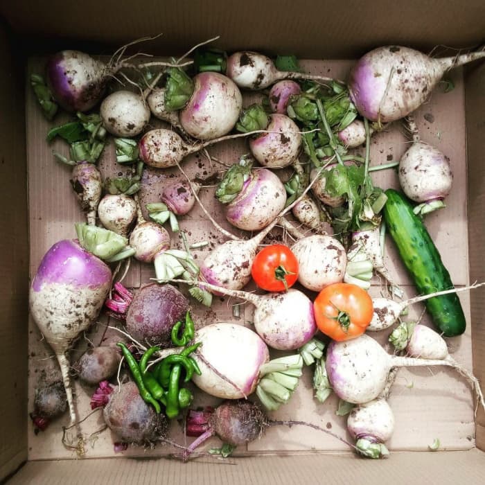 Choose what you dedicate your energy and resources to; you can't do all the farming and homesteading things that you want.