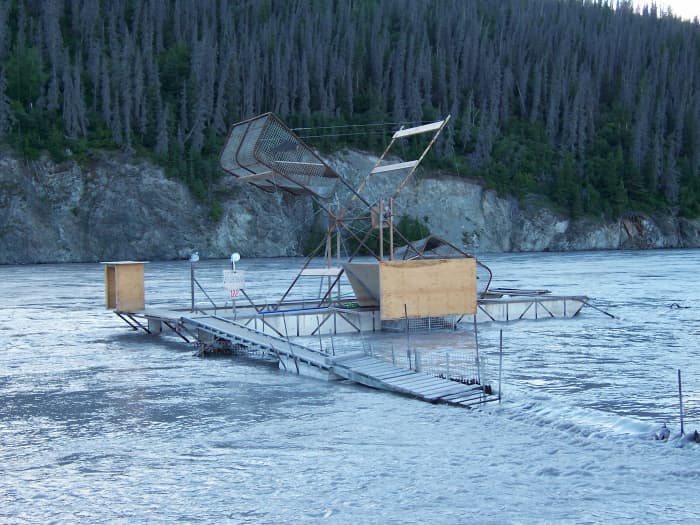 Who says you can't fish without a rod? This is the way salmon gets caught on the famous Copper River. When Sarah tells you that she likes fishing, she probably doesn't refer to this type though.