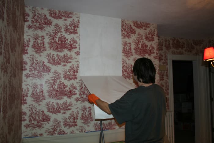 how-to-repair-wall-after-removing-wallpaper-kern-labon1943