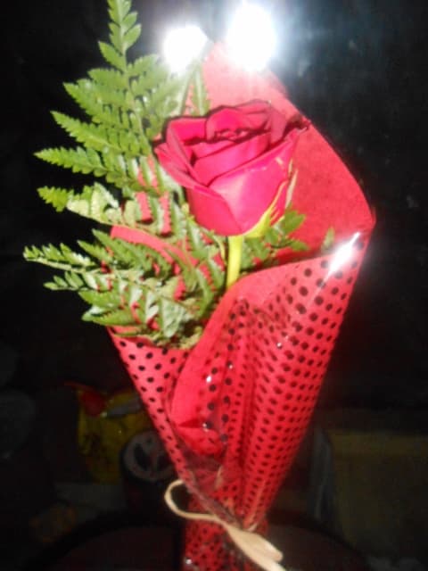 A single lovely rose for Valentine's Day.A rose is an excellent decoration, even when it dries out.