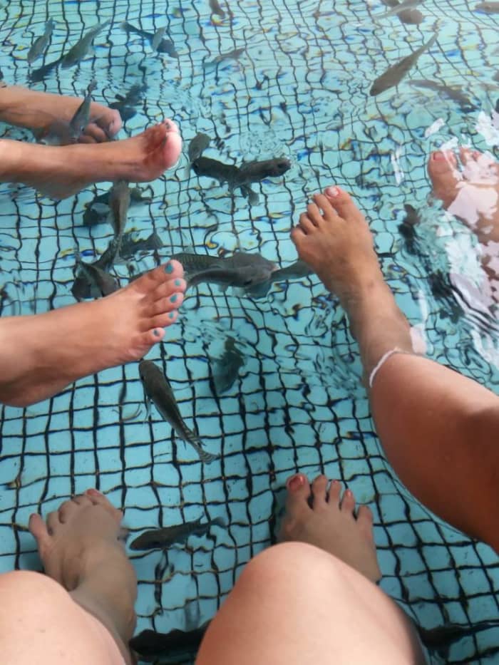 The Fish Spa takes pampering to a whole new level. Relax while doctor fish chew on dead skin cells on your tired feet, providing you with revitalized skin and a refreshing feeling the natural way. All you have to do is relax and enjoy this therapy.