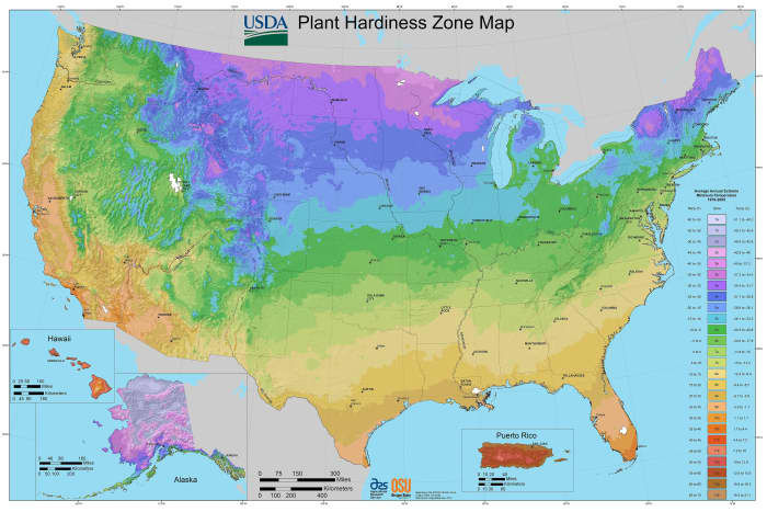 U.S. Plant Hardiness Zone Map