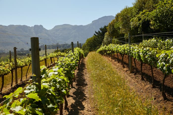 Wineries are generally associated with warmer weather. Grapevines don't grow when it is too cold.
