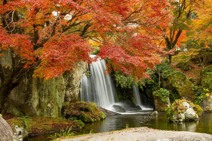 There is a beauty of nature in our emotional flow which is to be allowed to take its course.