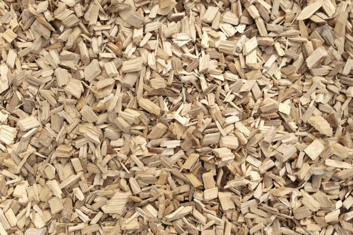 In order to make sure your plants receive sufficient moisture, rely on less frequent, deeper watering—this will maximize your water resource and the benefit of the woodchips.
