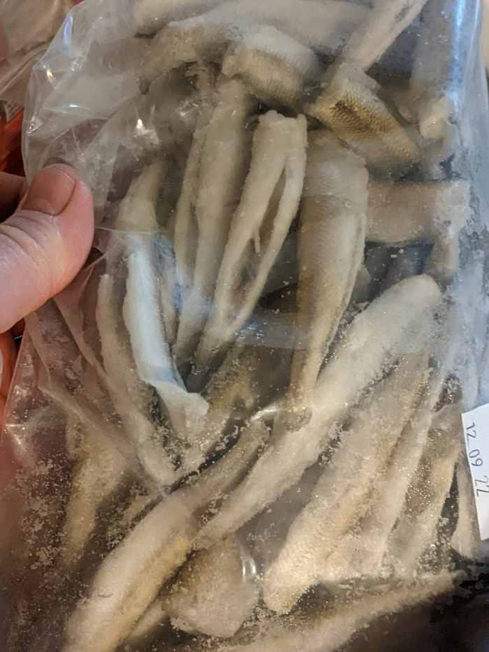 Smelt Frying it's Little Fish HubPages