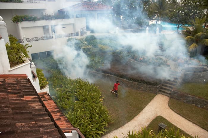 There are more natural ways to control pests in your garden besides deploying pesticides.