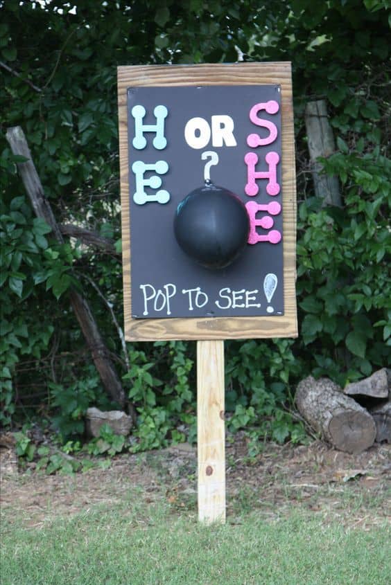 75+ Adorable Baby Gender Reveal Party Ideas - Holidappy