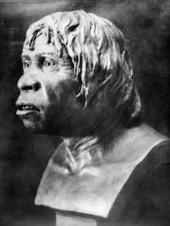 Piltdown man, whose fossil fooled scholars for more than 40 years was one of the most notorious hoaxes in the history of science.