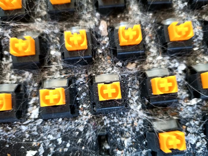 A view of my older keyboard with keycaps removed. Note the disgusting mixture of cat hair and cigarette ash!