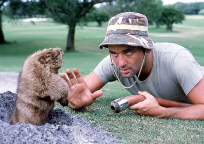 Murray's insane groundskeeper is the film's one constant, a deliciously slapstick creation who can't help but entertain in every scene he's in.
