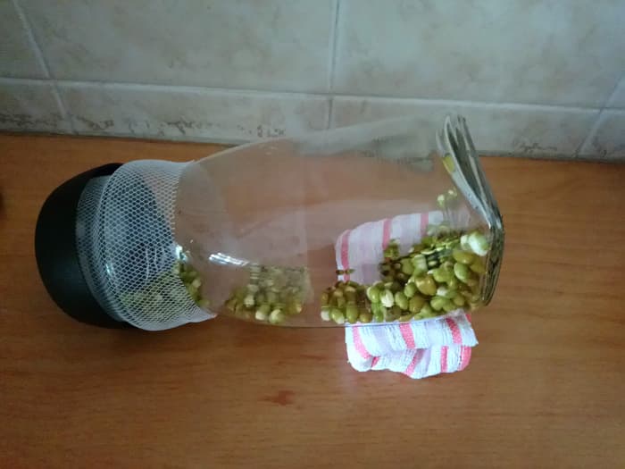 Tilt the bottle over the sink to drain out excess water, or to place it at an angle for water to be drained into the bottle cover.