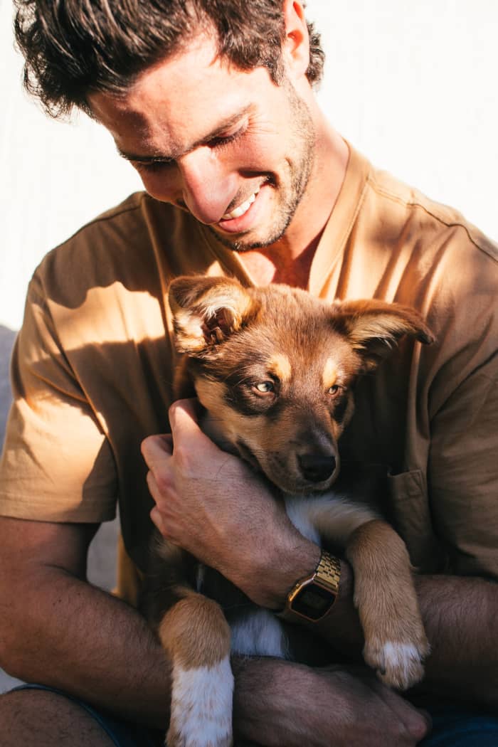 Taurus types tend to love bonding with plants and animals. If you want dogs and cats in your life, date a Taurus.