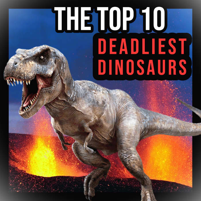 The Top 10 Deadliest Dinosaurs - Owlcation