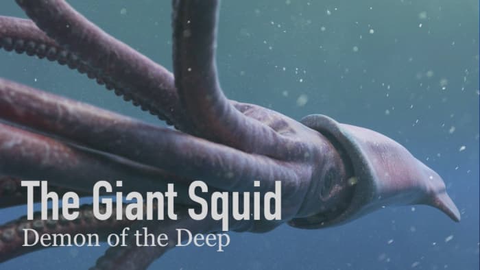 A Demon of the Abyss: The Giant Squid - HubPages