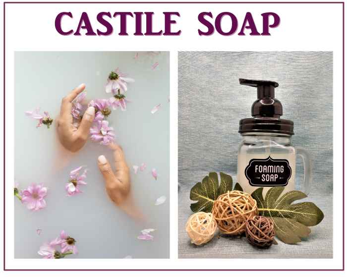 Vegan Castile Soap RemedyGrove