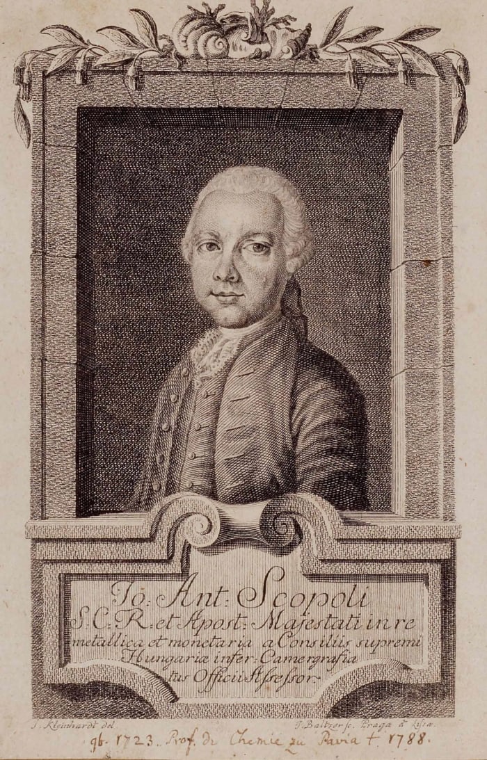 Klinehardt, Jan & Balzar, Johan. Public Domain. (after 1768). Slovenščina: Portret Giovannija Antonija Scopoli.