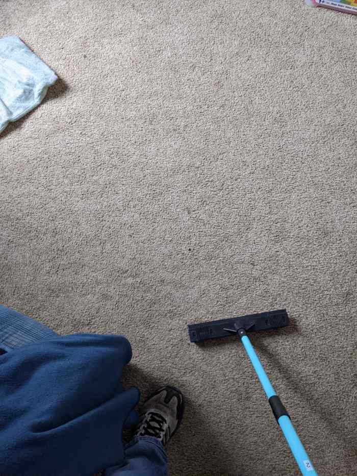 Zippi Broom Using Technology to Beat my Dirt HubPages