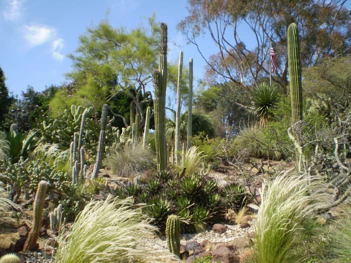 San Diego Botanic Gardens (formerly Quail Botanical Gardens) in Encinitas is free the first Tuesday of every month.
