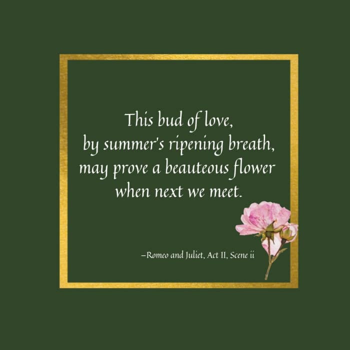 Shakespeare Flower Quotes About Love, Life, and Everything in Between