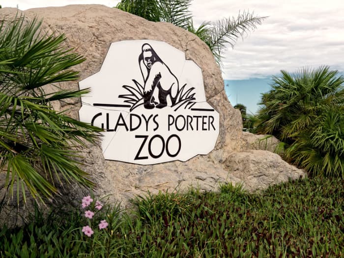 The Amazing Gladys Porter Zoo in Brownsville, TX - WanderWisdom