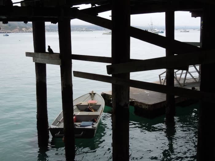 This is another view of the dock at Harford Pier, closer to the pier. Do you see the sea gull?