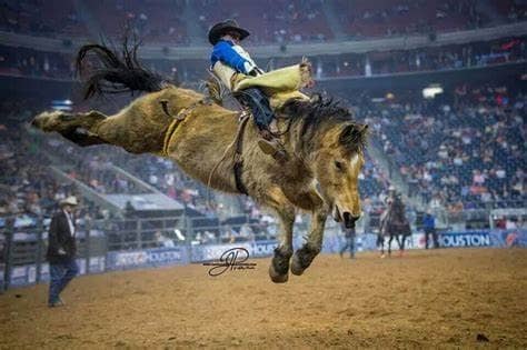 Bronc Rider at Houston Astrodome