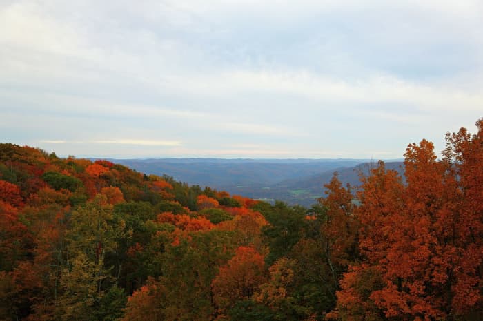 A View like no other, no matter what the season. West Virginia is home to majestic mountains, colorful flora, and spectacular wildlife.
