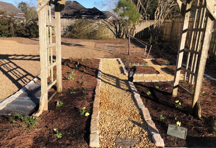 This was February, 2021, when I had just planted a few cool season crops. You can see the turf grass is still dormant.