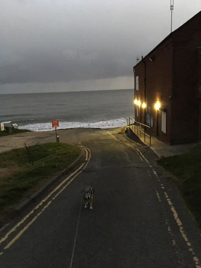 A photograph of South Landing Beach at Flamborough taken by my girlfriend shortly after poor light forced us to leave. Source: Paula Harvey