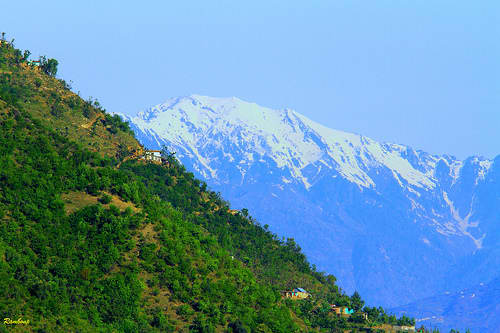 Patnitop