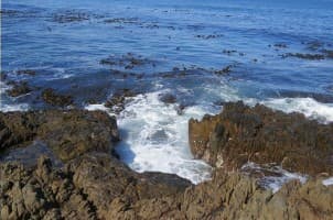 At One Time, Robben Island was Dutch Owned. Its Name Comes From the Fact that the Island was Once Inhabited by Seals. Robben is the dutch Word for Seal